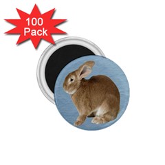 Cute Bunny 1 75  Button Magnet (100 Pack)