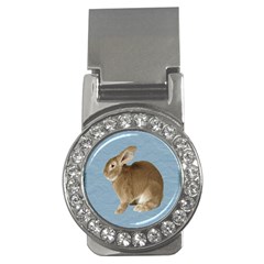 Cute Bunny Money Clip (cz) by mysticalimages