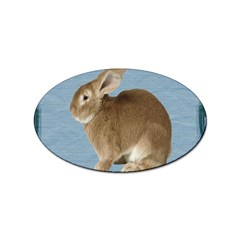 Cute Bunny Sticker (oval) by mysticalimages