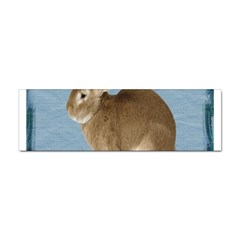 Cute Bunny Bumper Sticker by mysticalimages