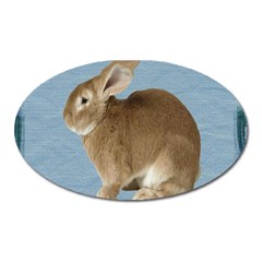 Cute Bunny Magnet (oval) by mysticalimages