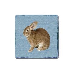 Cute Bunny Magnet (square) by mysticalimages