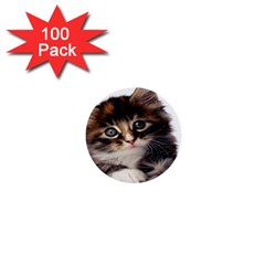 Curious Kitty 1  Mini Button (100 Pack) by mysticalimages