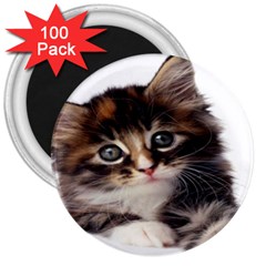 Curious Kitty 3  Button Magnet (100 Pack)