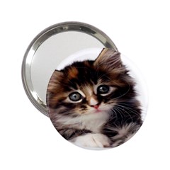 Curious Kitty Handbag Mirror (2 25 ) by mysticalimages