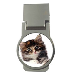 Curious Kitty Money Clip (round) by mysticalimages