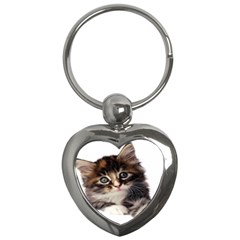 Curious Kitty Key Chain (heart) by mysticalimages