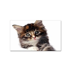 Curious Kitty Sticker (rectangle) by mysticalimages