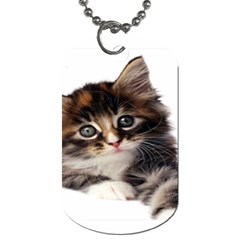 Curious Kitty Dog Tag (one Sided) by mysticalimages