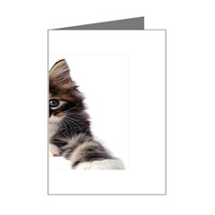 Curious Kitty Mini Greeting Card