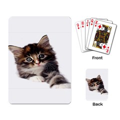 Curious Kitty Playing Cards Single Design