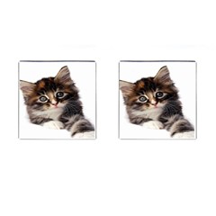 Curious Kitty Cufflinks (square) by mysticalimages