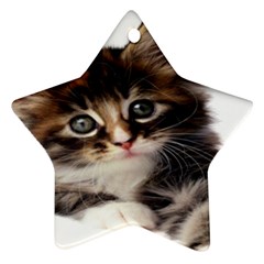 Curious Kitty Star Ornament (two Sides) by mysticalimages