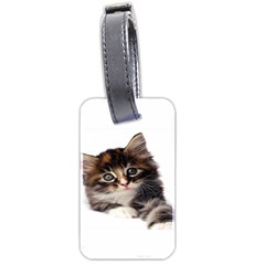 Curious Kitty Luggage Tag (two Sides)