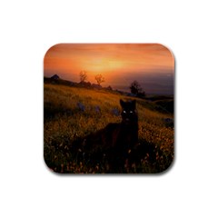 Evening Rest Drink Coasters 4 Pack (square) by mysticalimages