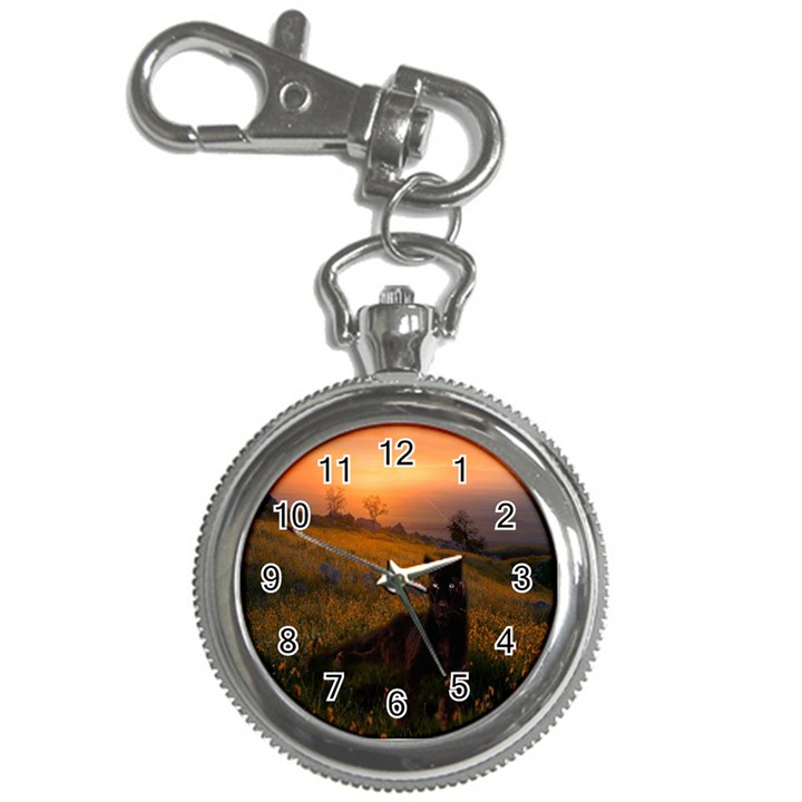 Evening Rest Key Chain & Watch