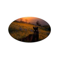 Evening Rest Sticker (oval) by mysticalimages