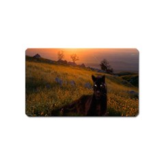 Evening Rest Magnet (name Card) by mysticalimages