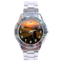 Evening Rest Stainless Steel Watch (men s) by mysticalimages