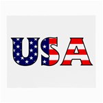 Usa Glasses Cloth (Small) Front