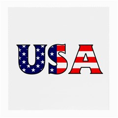 Usa Glasses Cloth (medium) by worldbanners