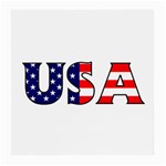 Usa Glasses Cloth (Medium) Front