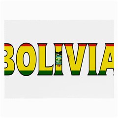 Bolivia Glasses Cloth (large) by worldbanners