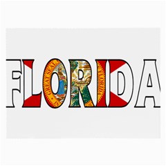 Florida Glasses Cloth (large)