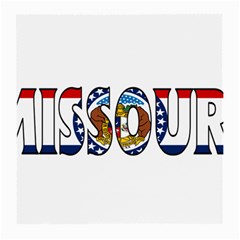 Missouri Glasses Cloth (medium) by worldbanners