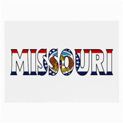 Missouri Glasses Cloth (large)