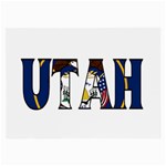 Utah Glasses Cloth (Large) Front