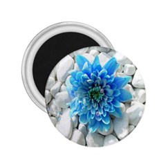 Blue 2 25  Button Magnet