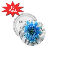 Blue 1 75  Button (10 Pack)