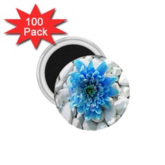 Blue 1 75  Button Magnet (100 Pack) by Contest1650520