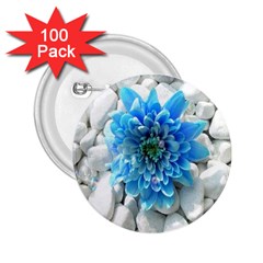 Blue 2 25  Button (100 Pack)