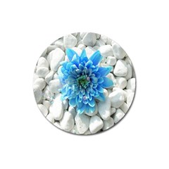 Blue Magnet 3  (round)