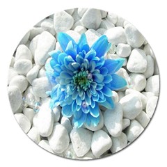 Blue Magnet 5  (round)