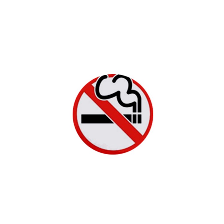 No Smoking 1  Mini Button Magnet