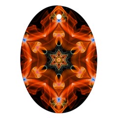 Smoke Art 1 Oval Ornament (two Sides) by smokeart