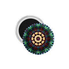 Smoke Art  (10) 1 75  Button Magnet by smokeart