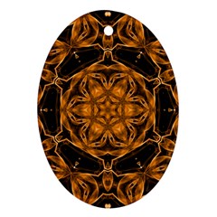  Smoke Art (14) Oval Ornament by smokeart