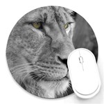 Lion 1 8  Mouse Pad (Round) Front