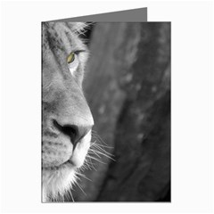 Lion 1 Greeting Card (8 Pack)