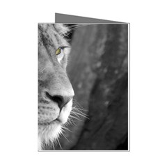 Lion 1 Mini Greeting Card (8 Pack)