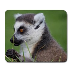 Ring Tailed Lemur  2 Large Mouse Pad (rectangle)