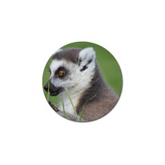 Ring Tailed Lemur  2 Golf Ball Marker 10 Pack by smokeart