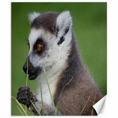 Ring Tailed Lemur  2 Canvas 8  X 10  (unframed) by smokeart