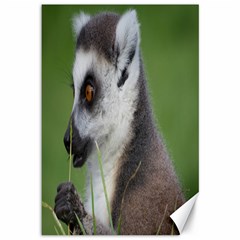 Ring Tailed Lemur  2 Canvas 12  X 18  (unframed) by smokeart