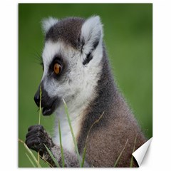 Ring Tailed Lemur  2 Canvas 16  X 20  (unframed) by smokeart