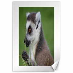 Ring Tailed Lemur  2 Canvas 24  X 36  (unframed) by smokeart